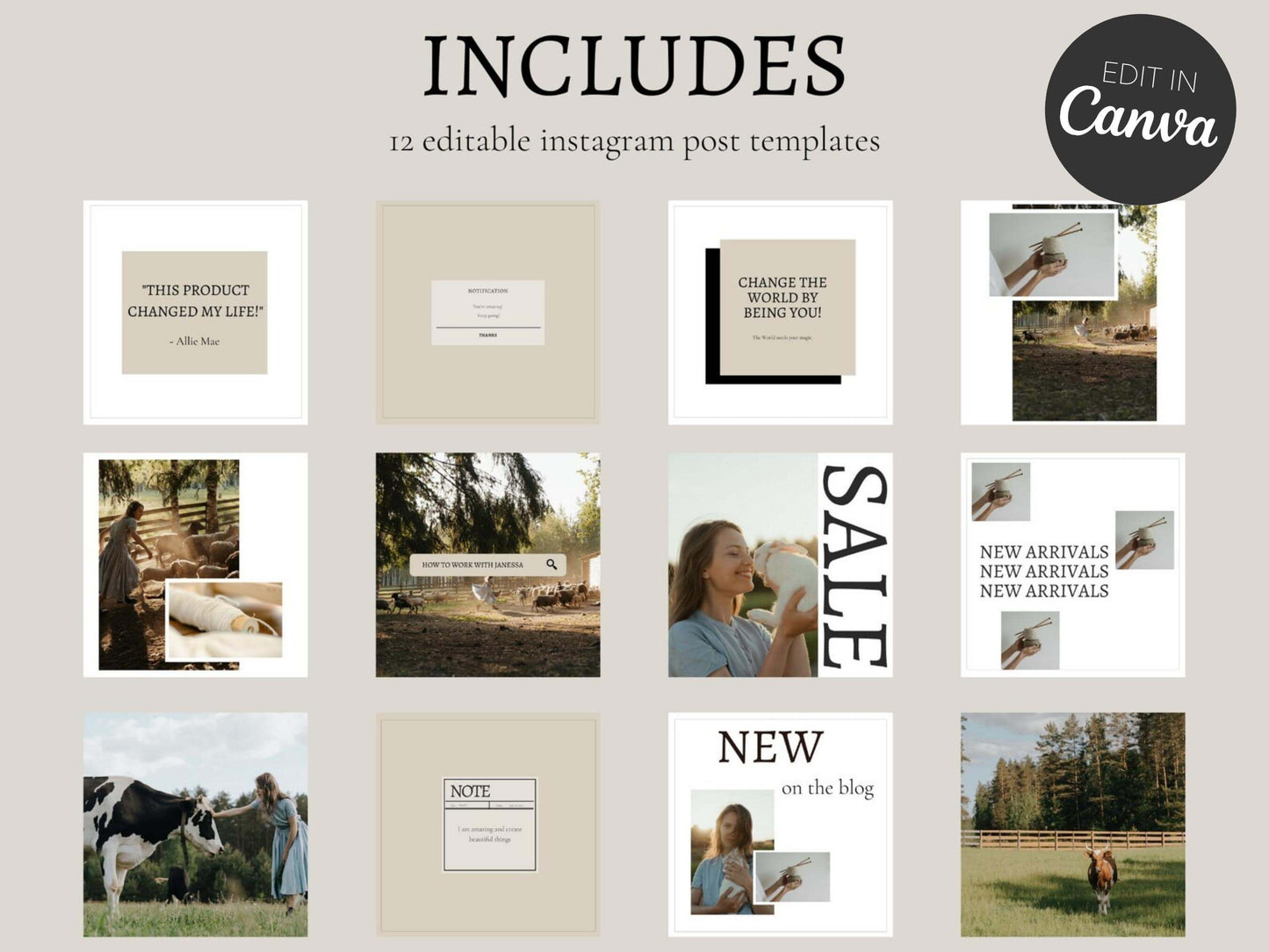 The Homestead Launch Package