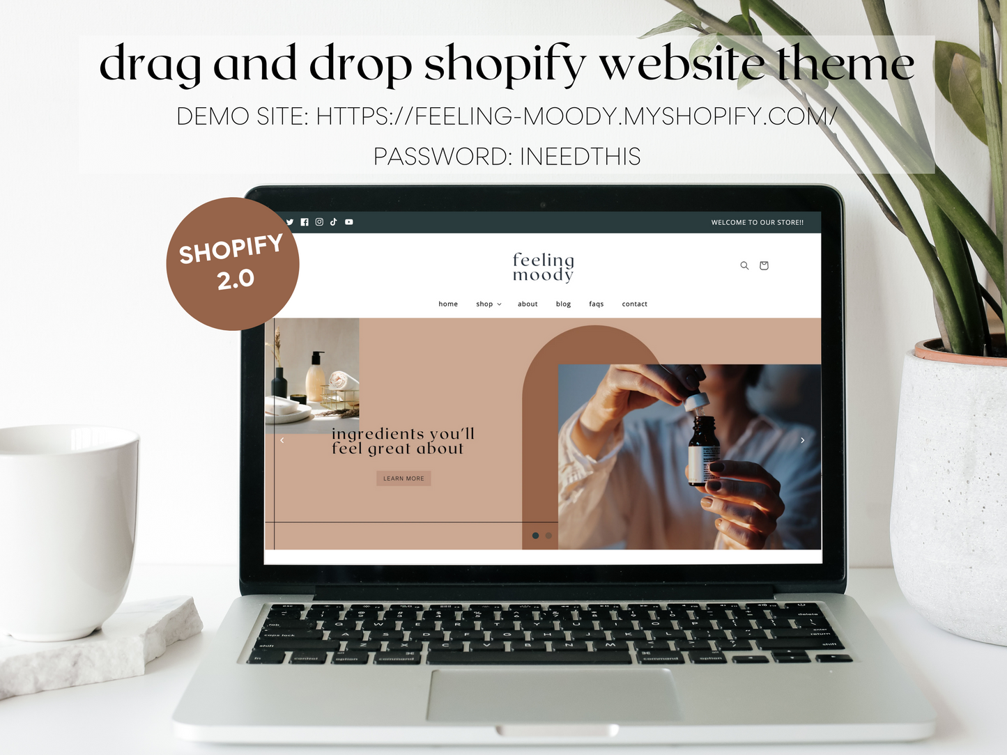 Feeling Moody Launch Package