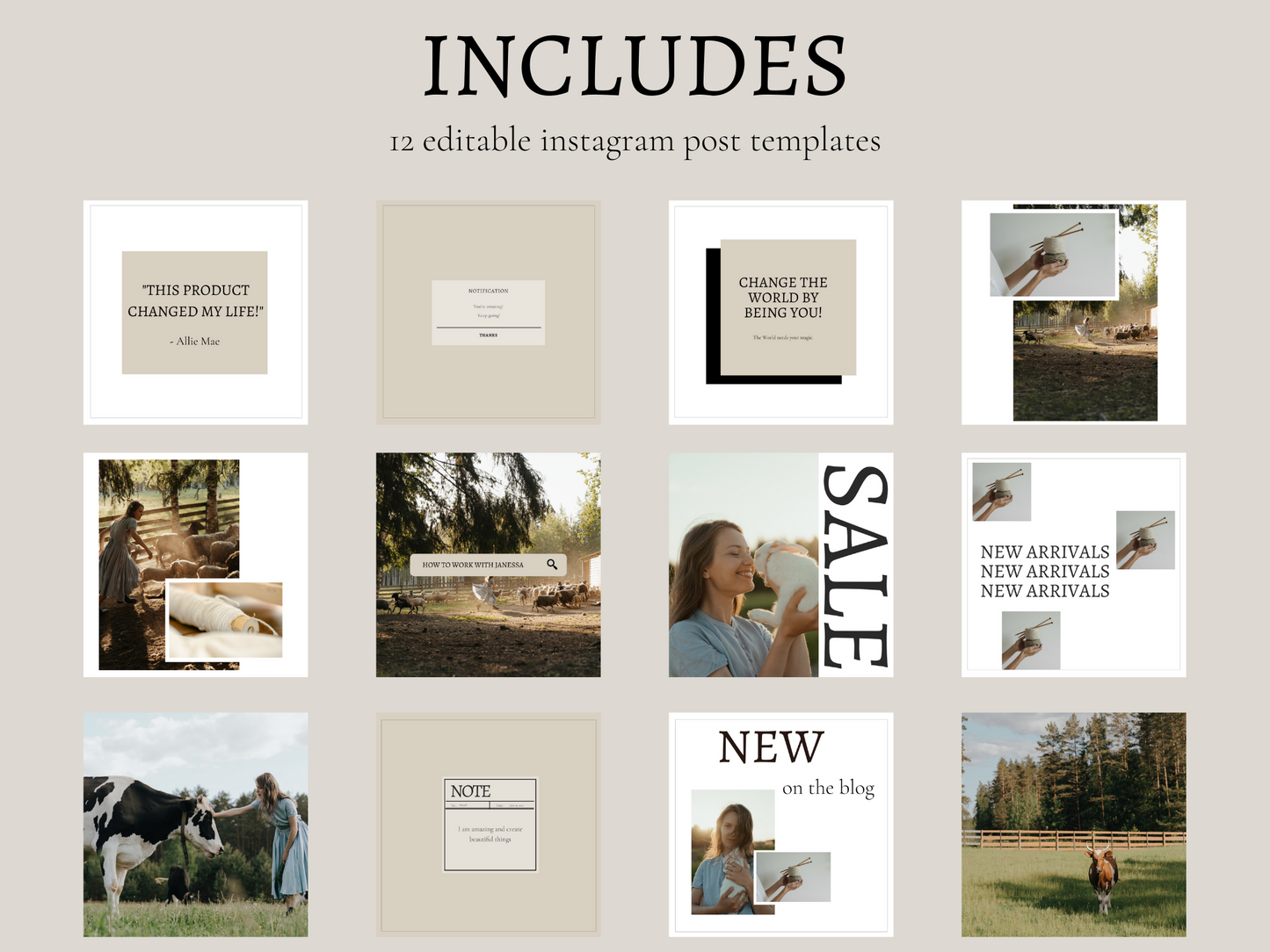 The Homestead Business Bundle