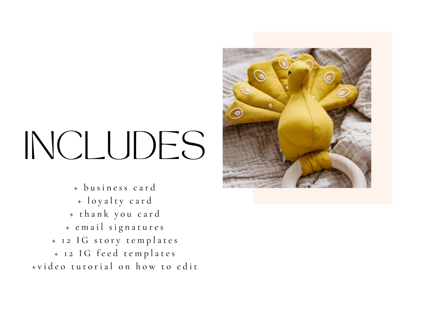 Desert Whimsy Business Bundle