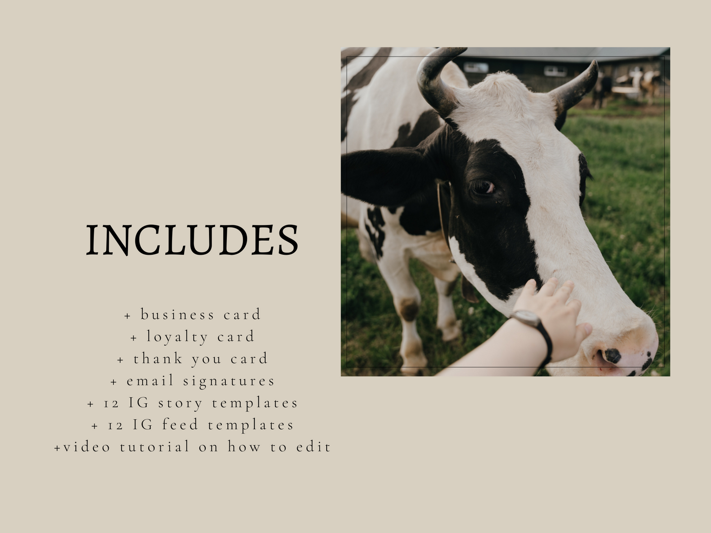 The Homestead Business Bundle