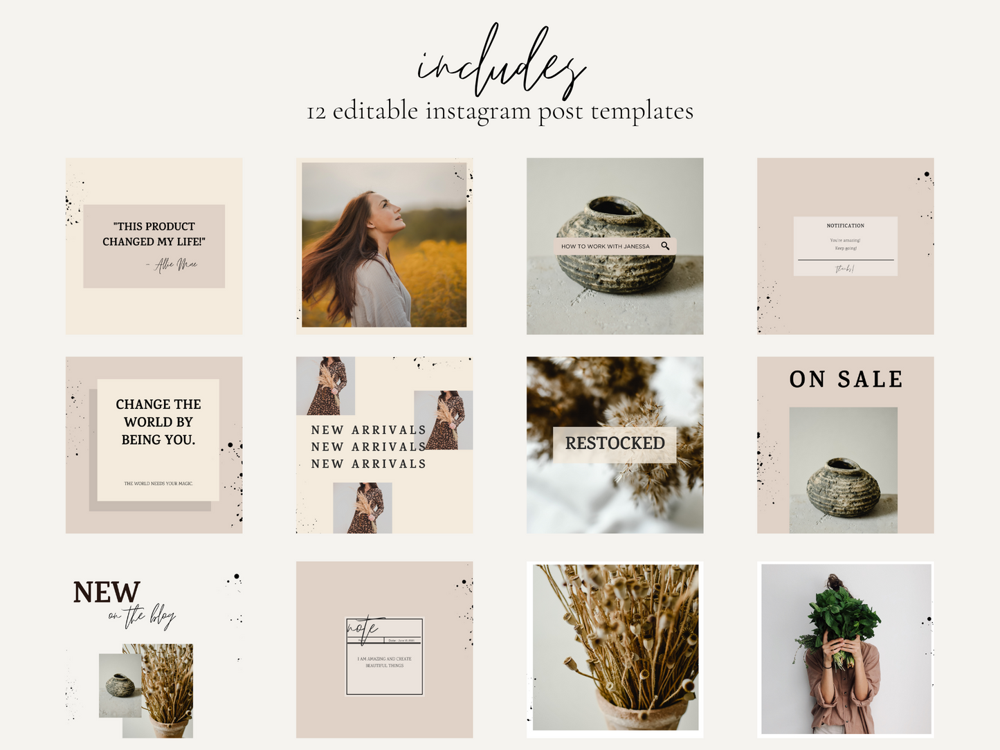 Daydreamer Collective Business Bundle